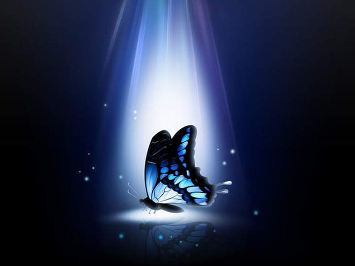 Copyright: <a href='http://www.123rf.com/profile_zven0'>zven0 / 123RF Stock Photo</a>