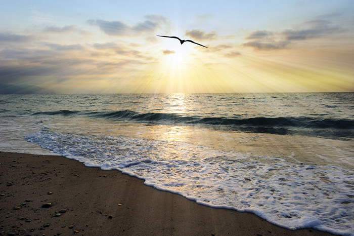 Copyright: <a href='https://www.123rf.com/profile_mexitographer'>mexitographer / 123RF Stock Photo</a>