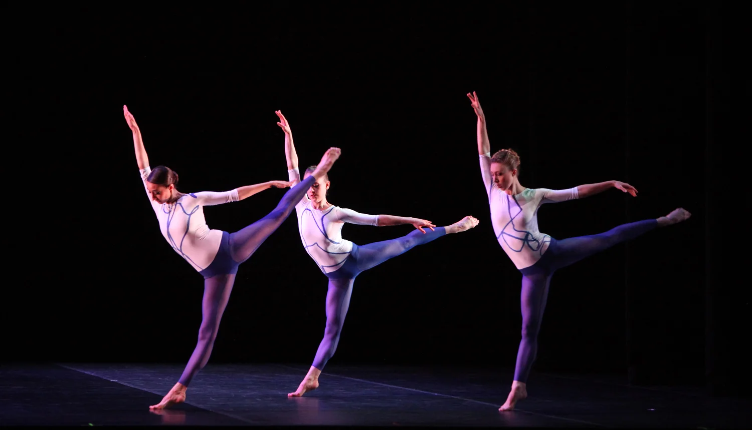 Early That Summer 7623-web, photo by Anne Marie Bloodgood.jpg