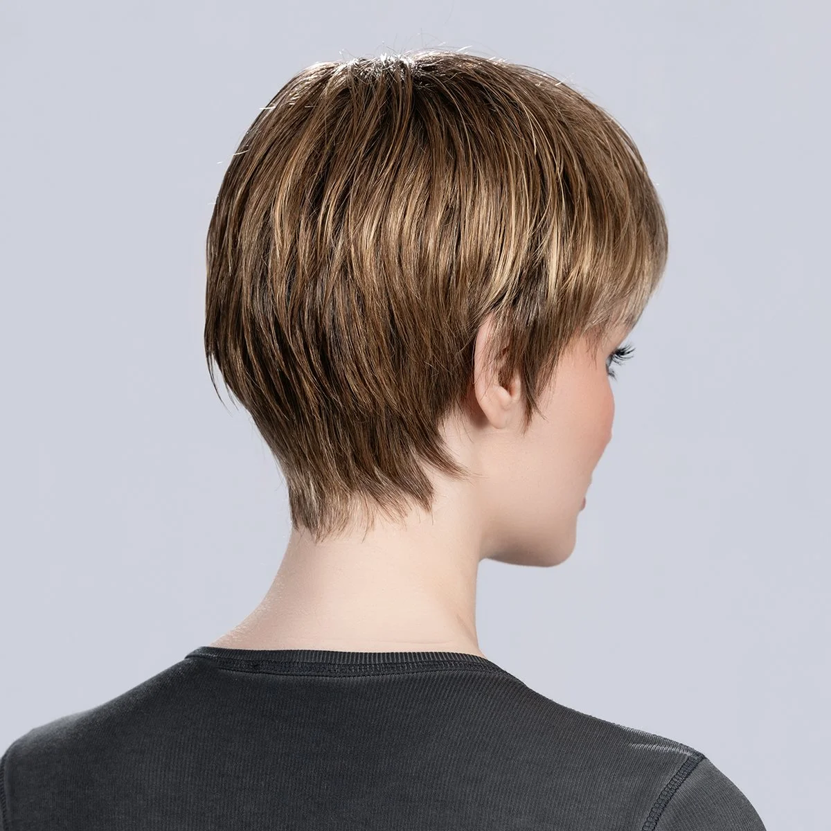 tool-bernstein-rooted