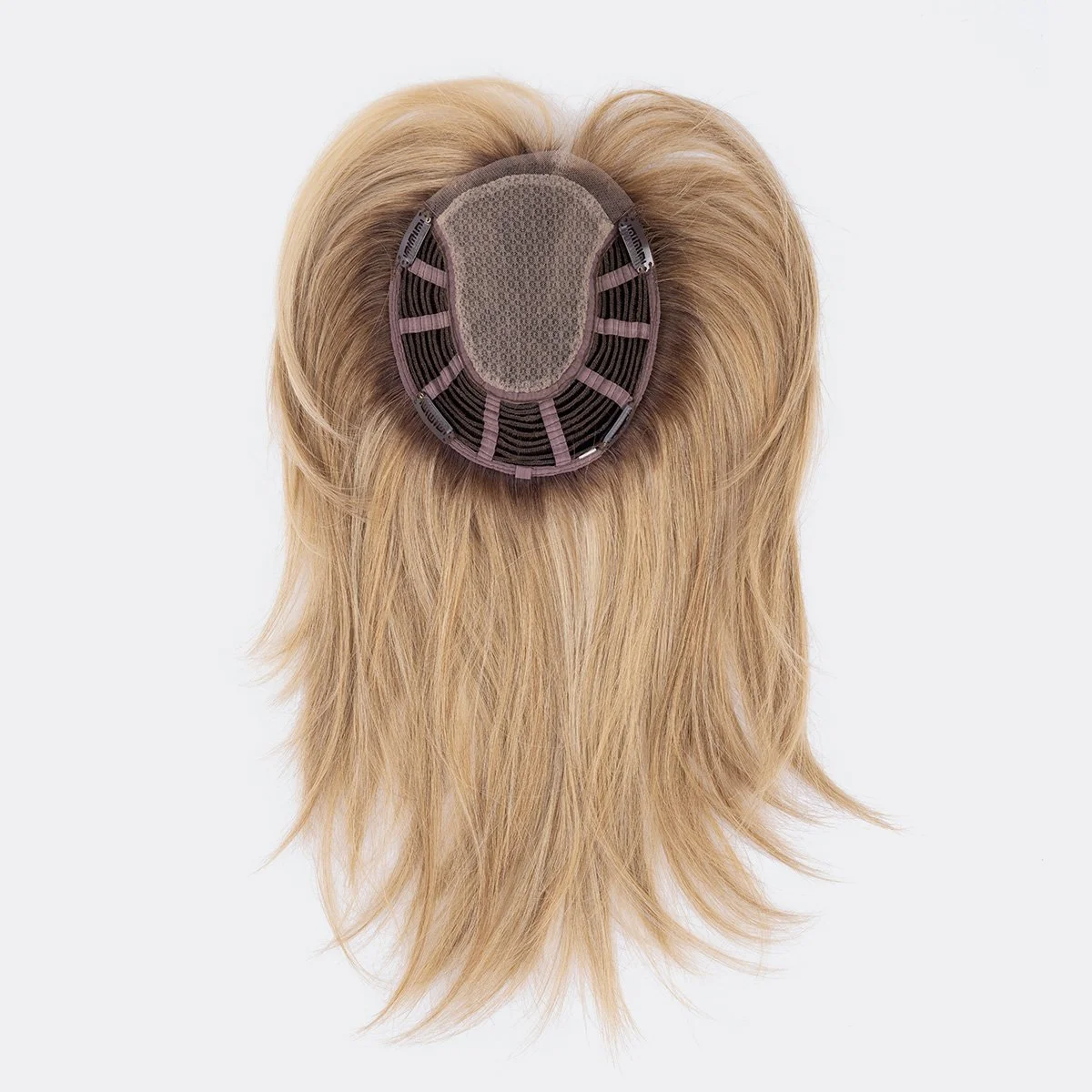 famous-lightbernstein-rooted