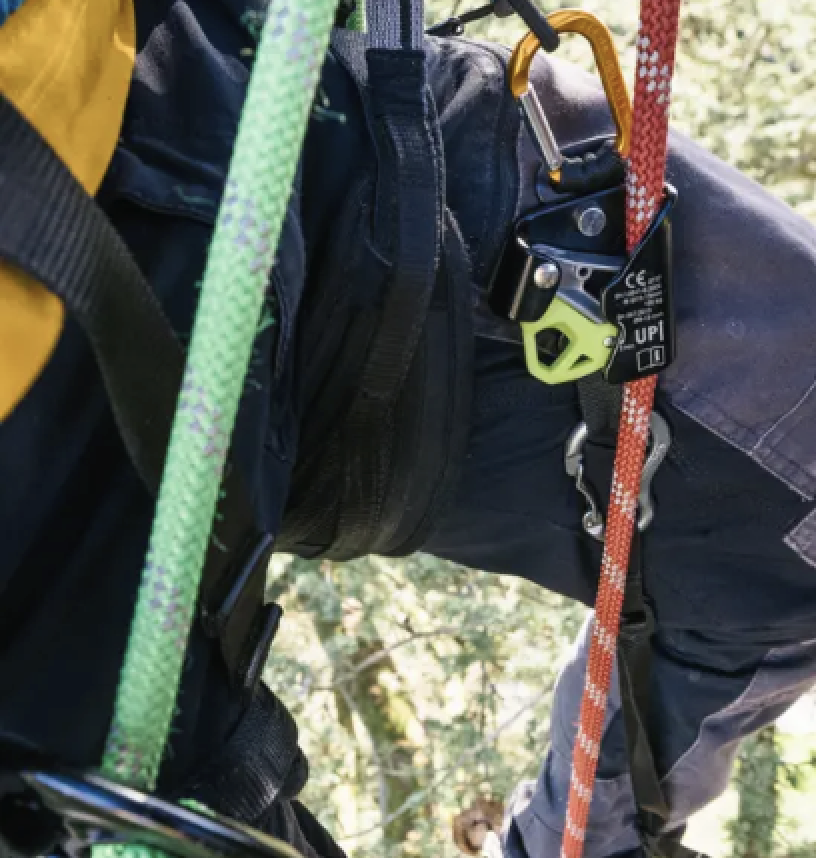 Monosnap KNEE CRUISER  rope clamps  EDELRID 2026-03-18 12-22-36.png