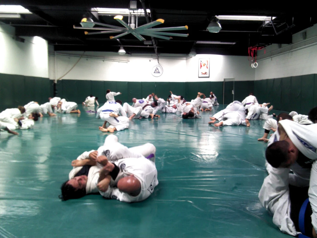 IMG_20121124_105507.jpg