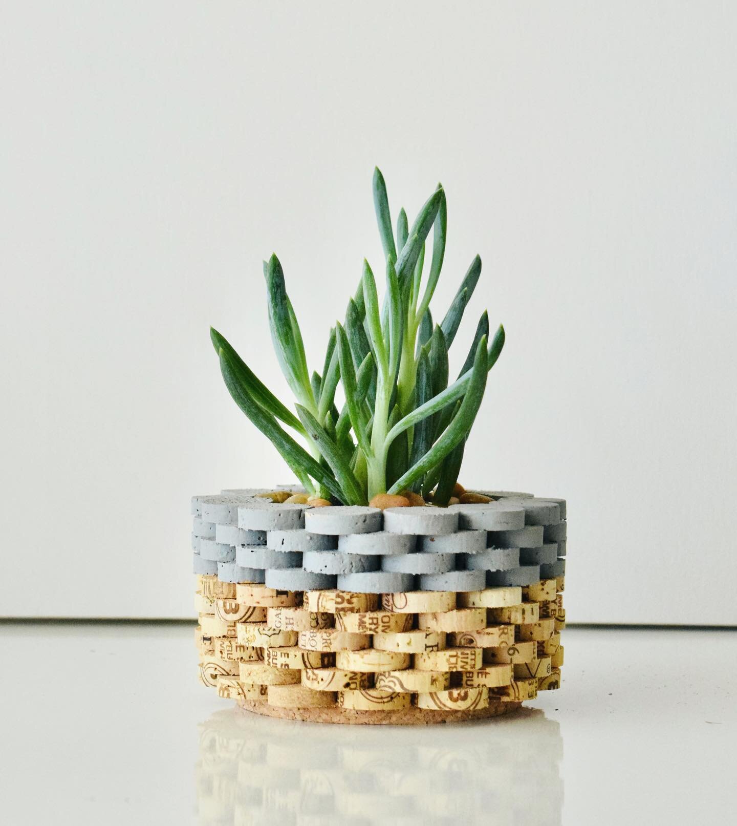 Can&rsquo;t wait for the warmer weather and outdoor markets to bring these handsomes back out. 
.
.
.
.
.
#corkplanter #planter #sustainable #eco #upcycle #minimalism #modern #design #plants
