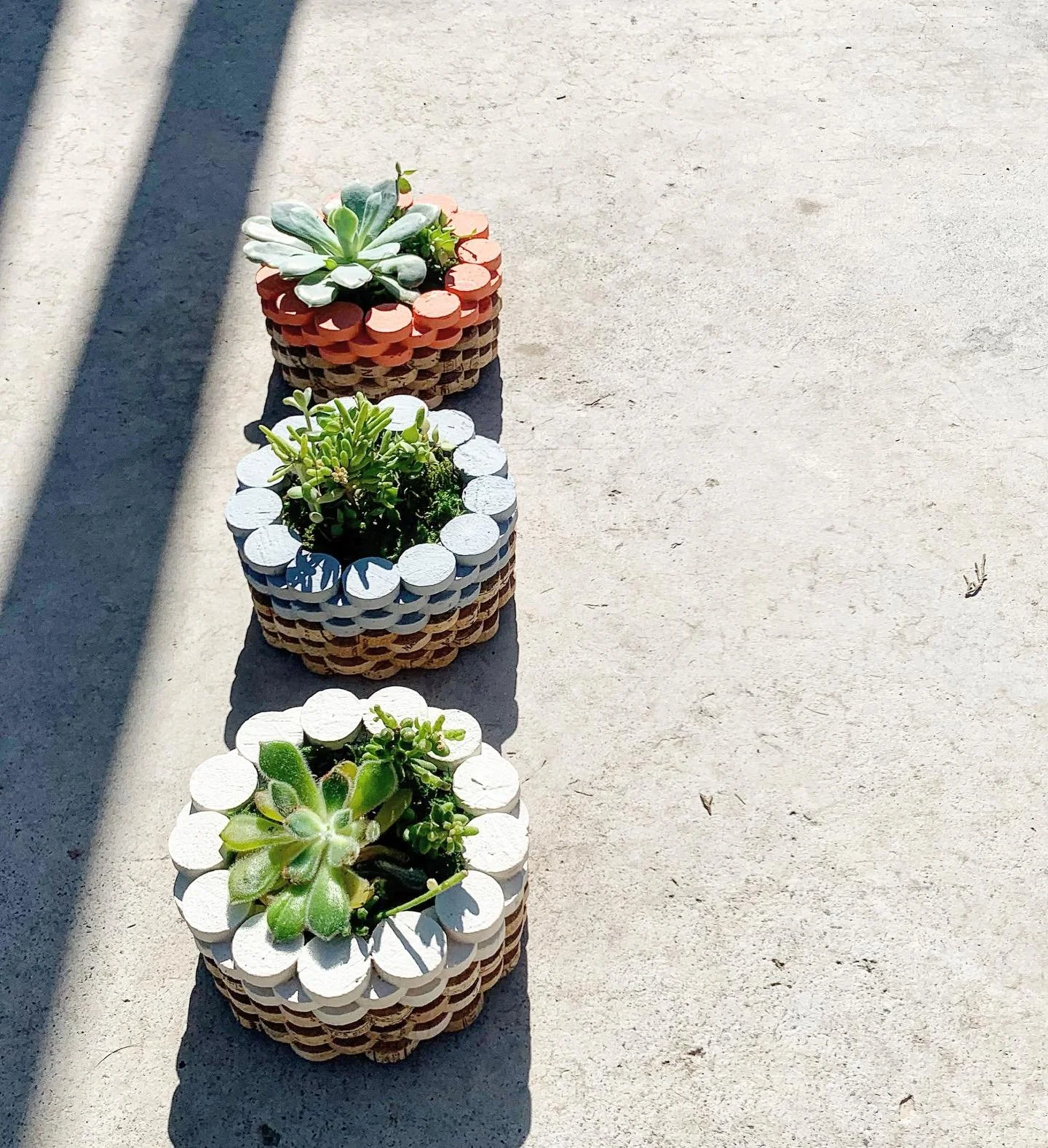 Golden orb in sky,
Majestic beams cast shadows,
Nature&rsquo;s gentle warmth

#planter #art #minimal #modern #design
