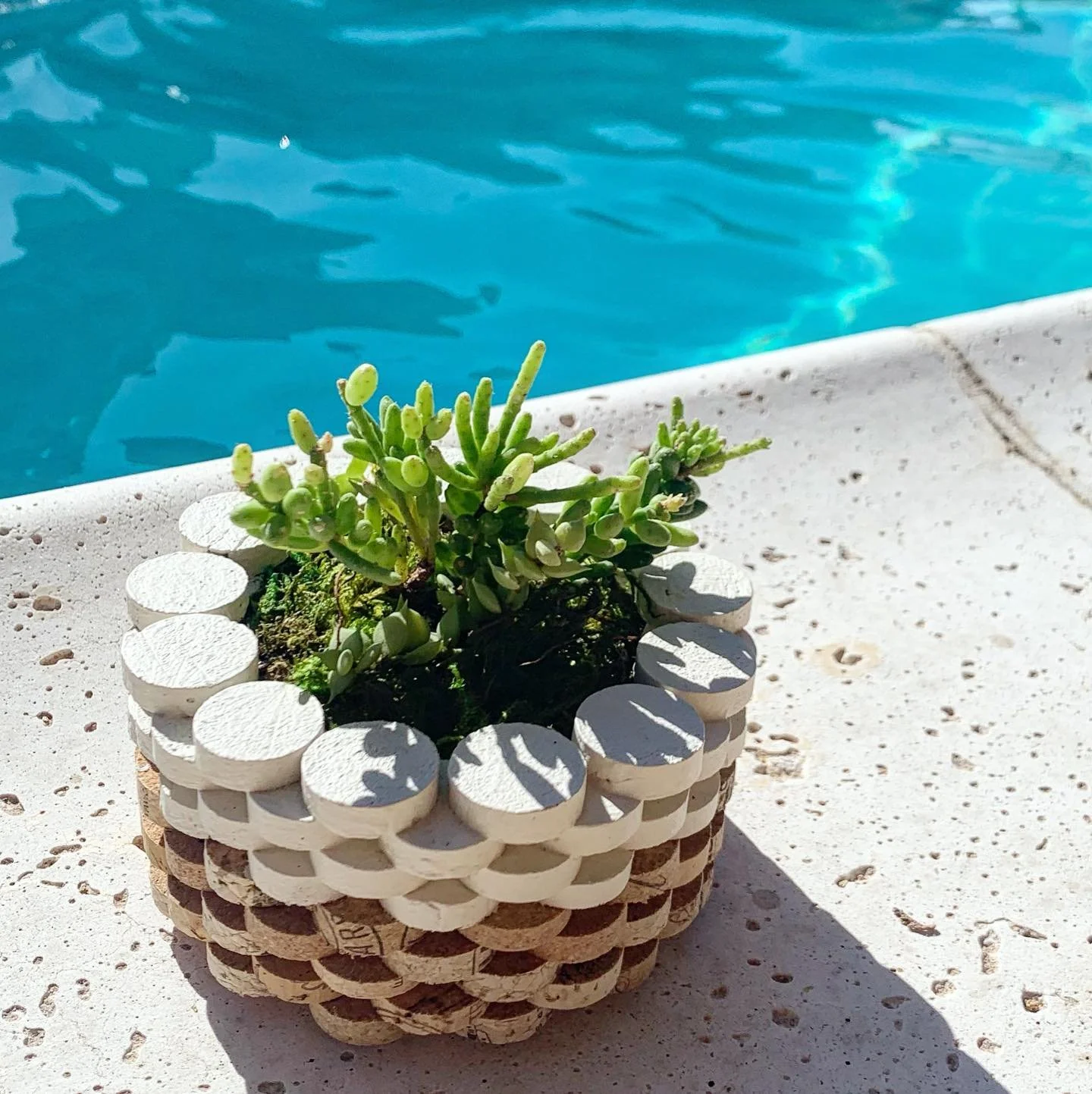 This weather isn&rsquo;t cooling down anytime soon. Soooo, MAF (🤣) seeking pool/lake friends who are environmental advocates. Will provide Blue Coast planters with plants for us to admire while we make plans to shift the sustainability paradigm!
.
.