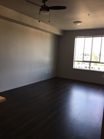 A photograph of the empty apartment. Courtesy: Proctor Station Apartments. This, and a few other photos, plus the blue prints were all we had prior the Matterport scan.