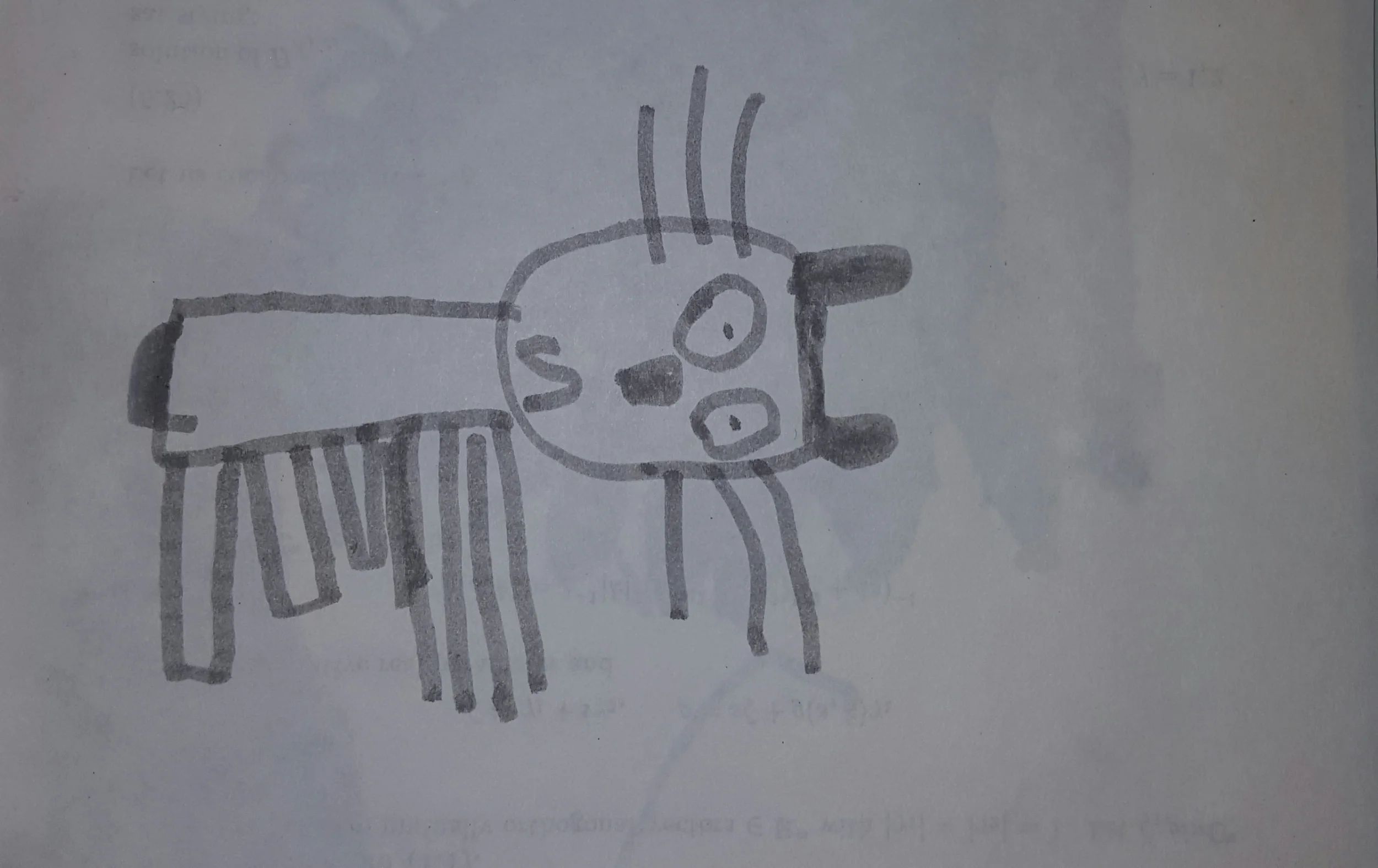 PUGNO DI FERRO, GUANTO DI VELLUTO: LA STORIA DI L., 5 ANNI, EMIPLEGICO SX