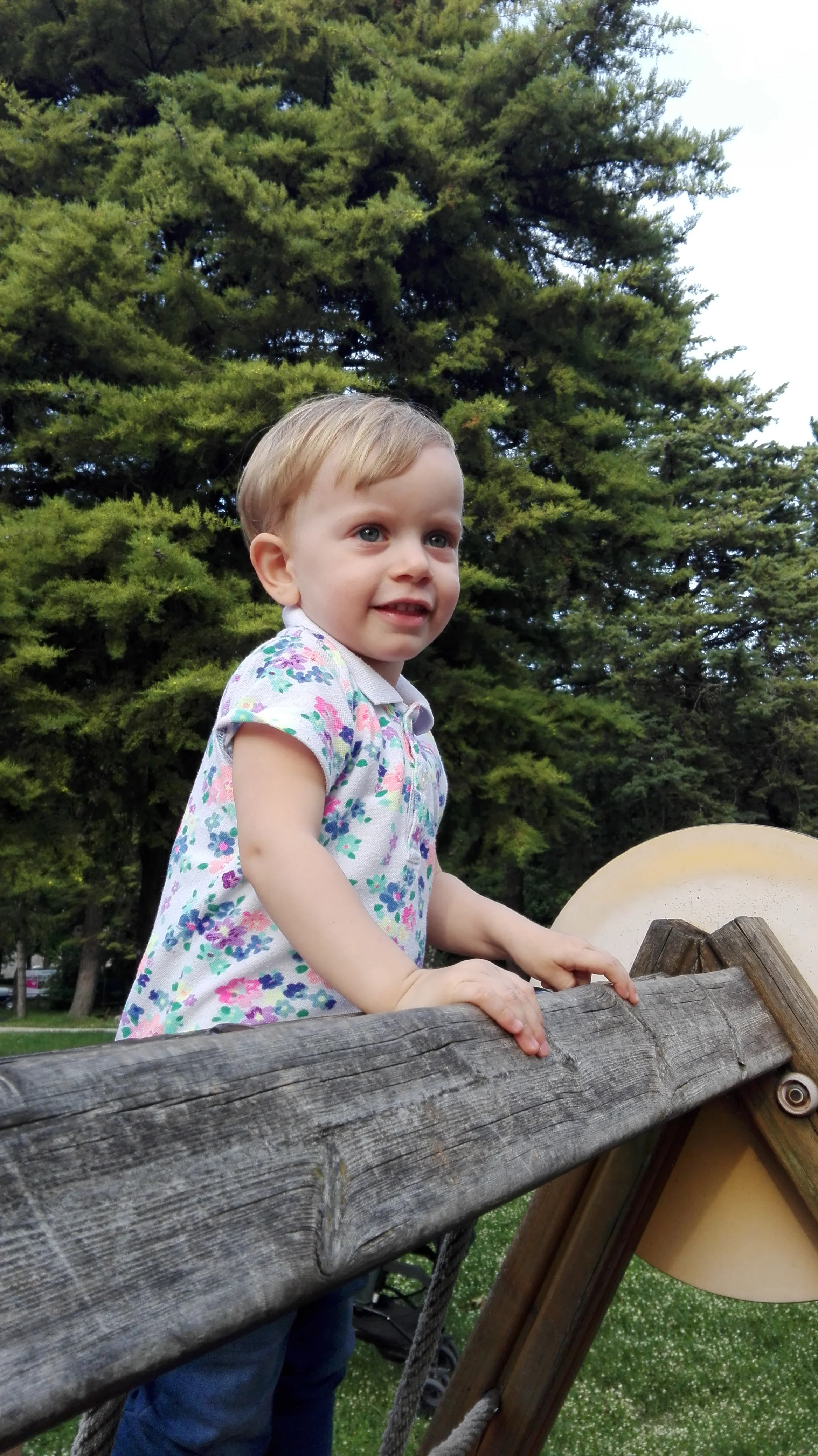 ANNA, 2 ANNI DI GRINTA E SIMPATIA.