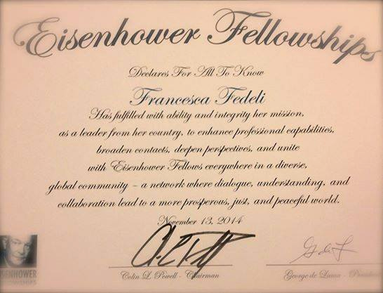 2014 Eisenhower Fellowship on Innovation
