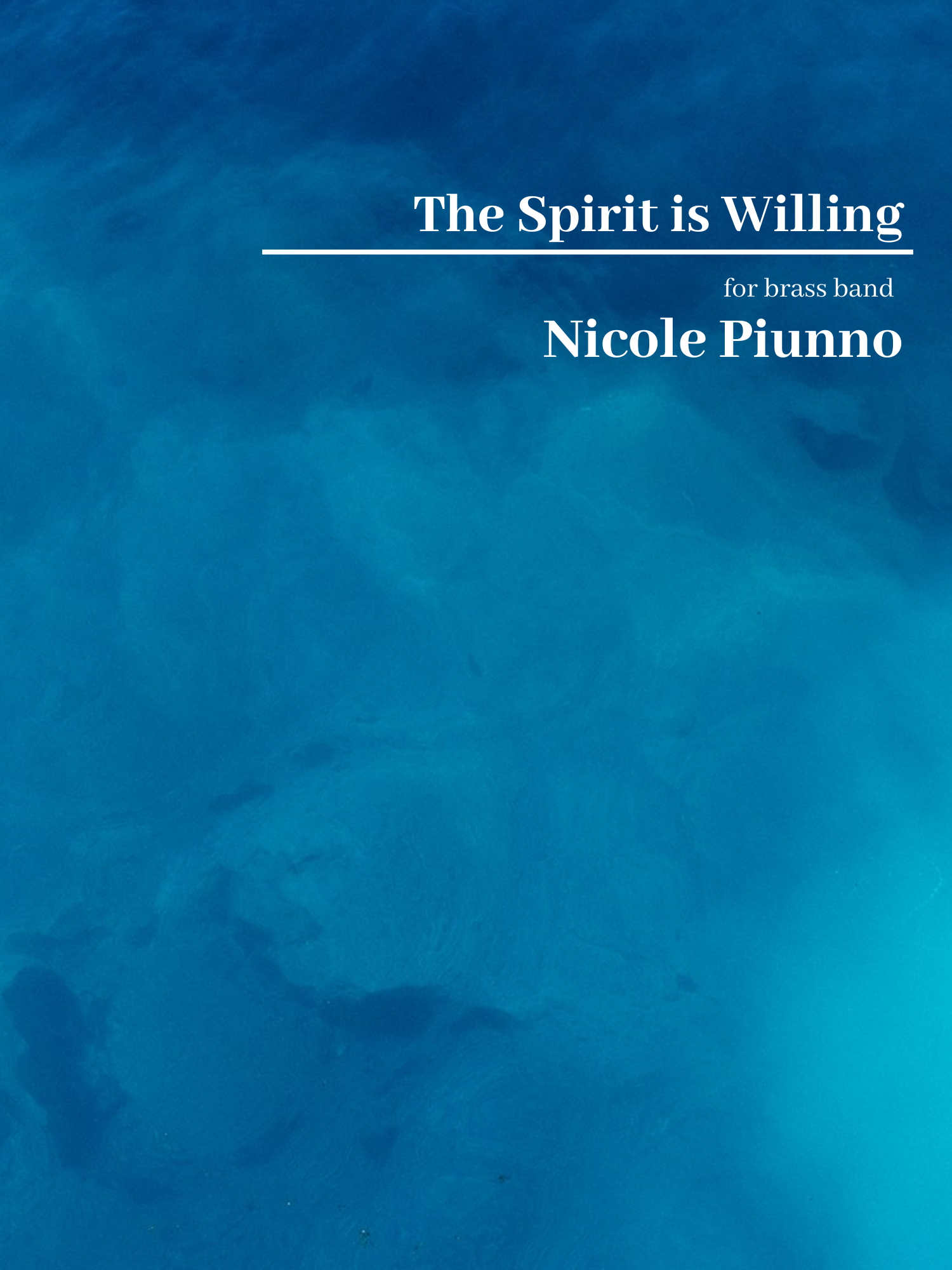 The Spirit is Willing BB cover.png