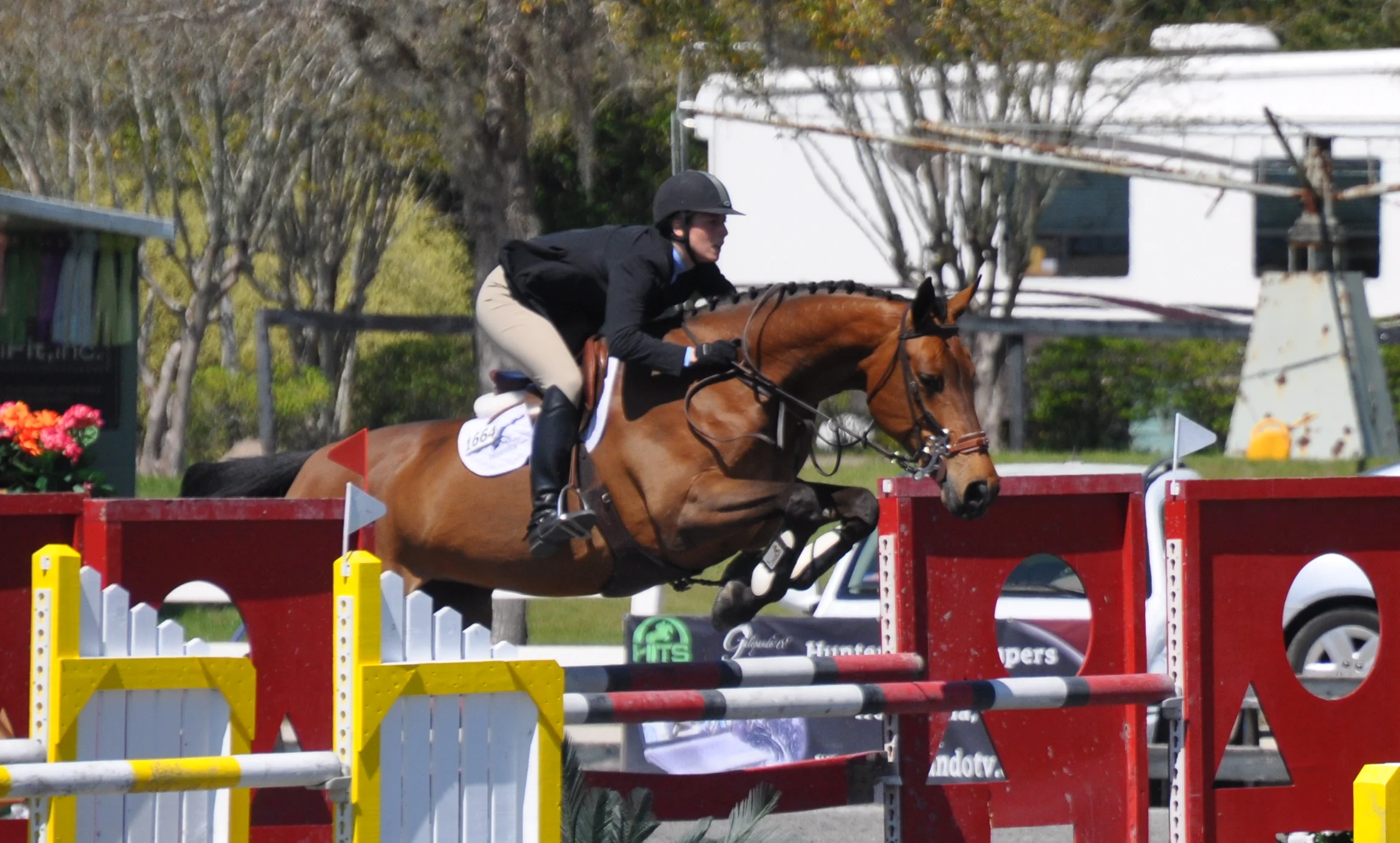 Chinedine PPZ - Winner YJC, Amateur jumpers and Grand Prix