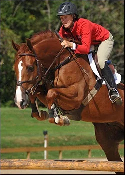 VDL Wizard - winner in YJC and Amateur jumpers