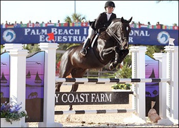 San Remo - Winner WIHS finals, chamipon eq horse at Devon multiple years. 
