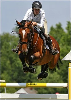 Volumia - winner 1.45m jumpers and Jr/Am Jumpers