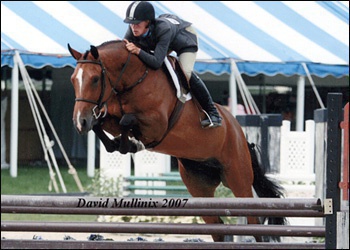 Brittany - winner small jr hunters 1st and 2nd years