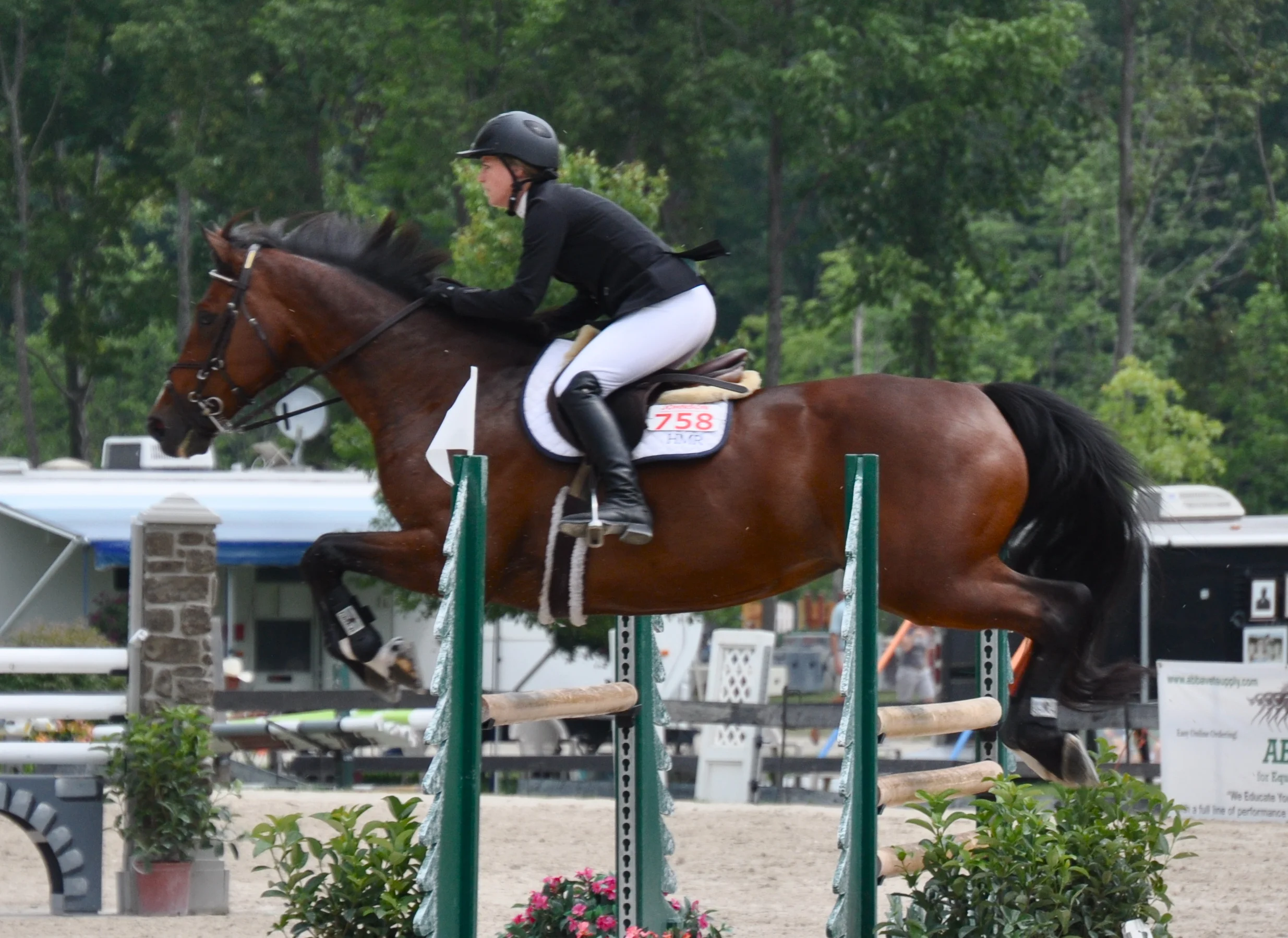 Cassia Catalina - Champion Jr/Am & Child Adult Jumper