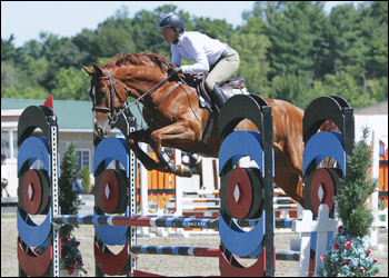 Godspeed - YJC reserve champion 4 yr olds. 
