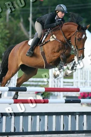Wings VDL - 1.35m specialist winner Jr.Am and Adult Jumpers
