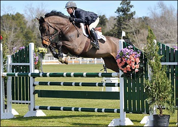 Cortender - Grand Prix and YJC winner