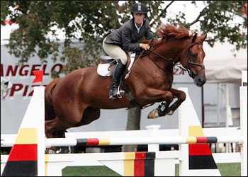 VDL Dundee - YJC championship winner & 1.45m jumper