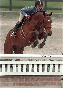 Wrigley - champion junior and adult hunter