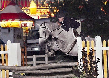 Windorado VDL - Indorado gelding YJC winner and children's hunter