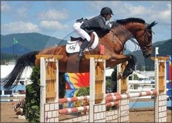 Timeless - Jr/Am ribbon winner