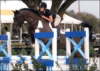 Splendid VDL - Jr/Am jumper champion + Equitation