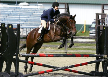 Diamante - child/adult winner as well as equitation