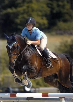 Capri - winner through 1.30m and equitation