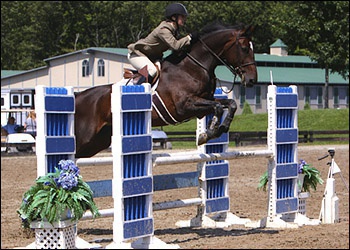 Chanel - winner 1.35m through hunters