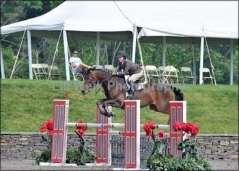 Zone 4 equitation champion