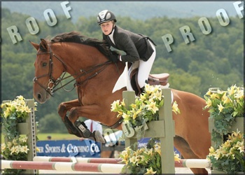Beverly Hills - Champion Jr Jumper
