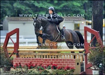 Capitalize - Adult amateur Hunter/Eq