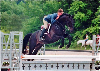 Chase - baby green/pre adult hunter