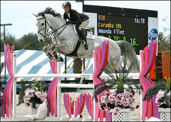 Caramba VDL - YJC placings and Jr/Am jumpers