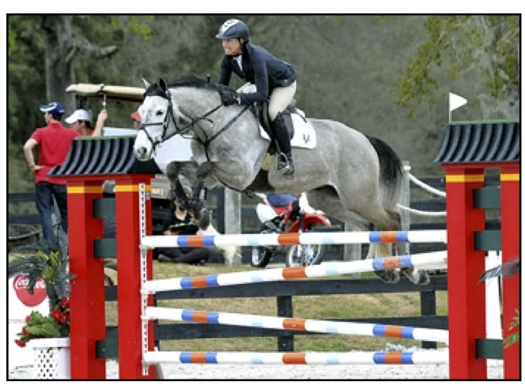 Arizona VDL - 1.30 amateur winner and jr hunter