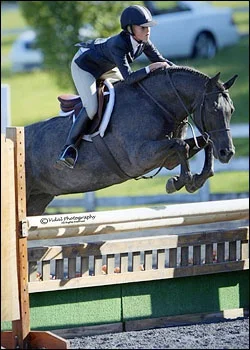 Rikki Tikki Tavi - Large division and M&S Finals winner