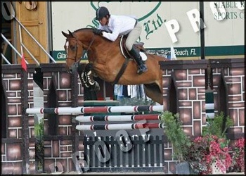 VDL Testa Rossa - winner 1.30m and equitation