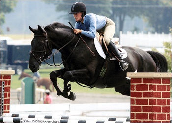 Hope - Jr Jumper, Jr Hunter, Eq horse