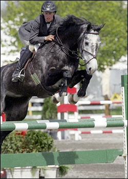 VDL Las Vegas - Champion Jr/Amateur Jumpers