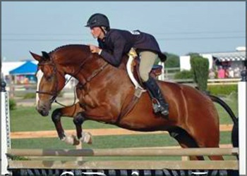 Superboy - Winner 1st years and Adult Hunters