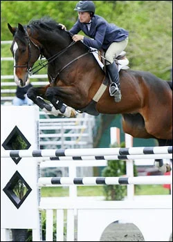 Amis Des Gemmes - Grand Prix YJC and Amateur Winner