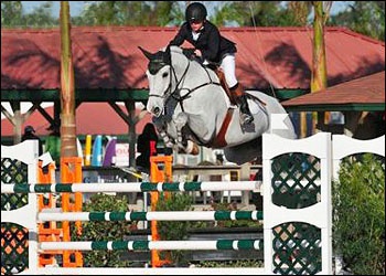 Attraction - Champion Jr Jumper