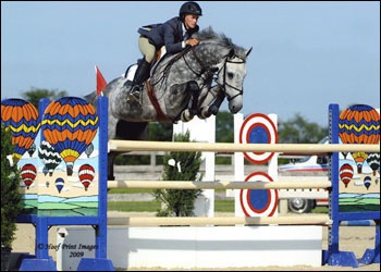 VDL Theresa Lady - Young Rider's Jumper