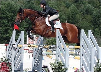 Denmark II - Jr Jumper champion