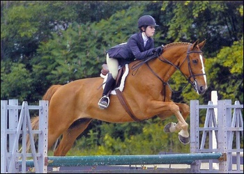 Austin - Equitation packer