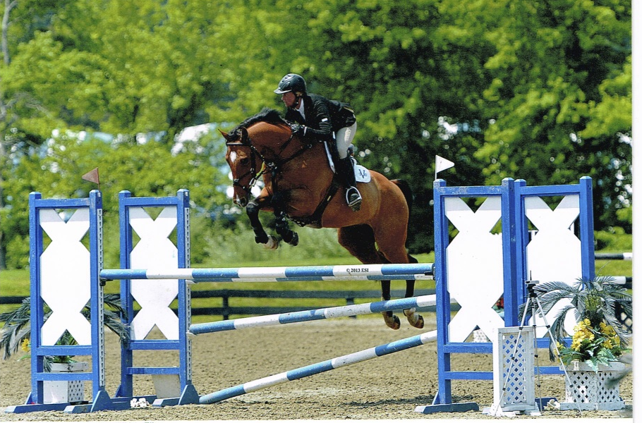 Santa Ana Lux Z - YJC final ribbon winner, now competing and winning 1.40m