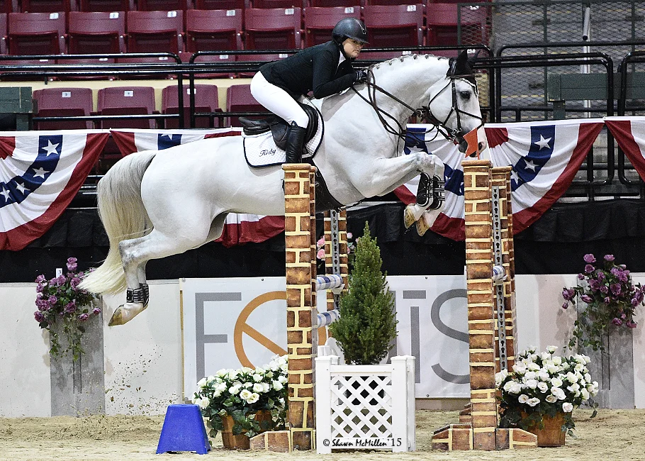 Cor De Pomme: 2004 Corland x Jus de Pomme gelding - competed through 1.45m... very competitive amateur horse .